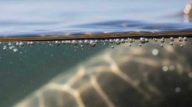 Oxígeno disuelto (OD01) - Agua