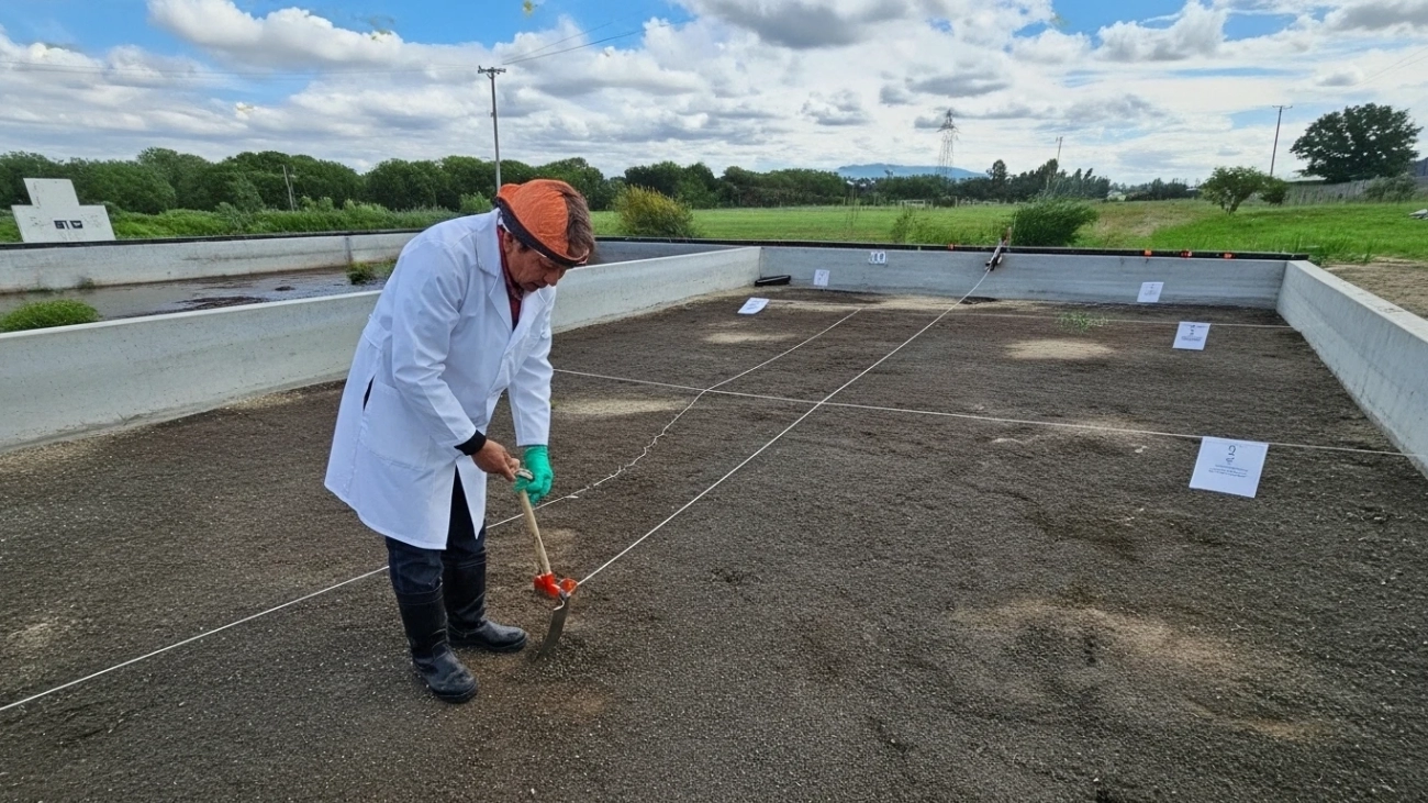 46. Suelos Lodos, Gavimetrico