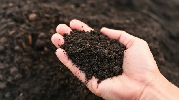 49. Materia Organica total, Gabrimetrico Suelos